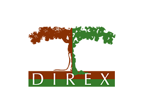 Direx